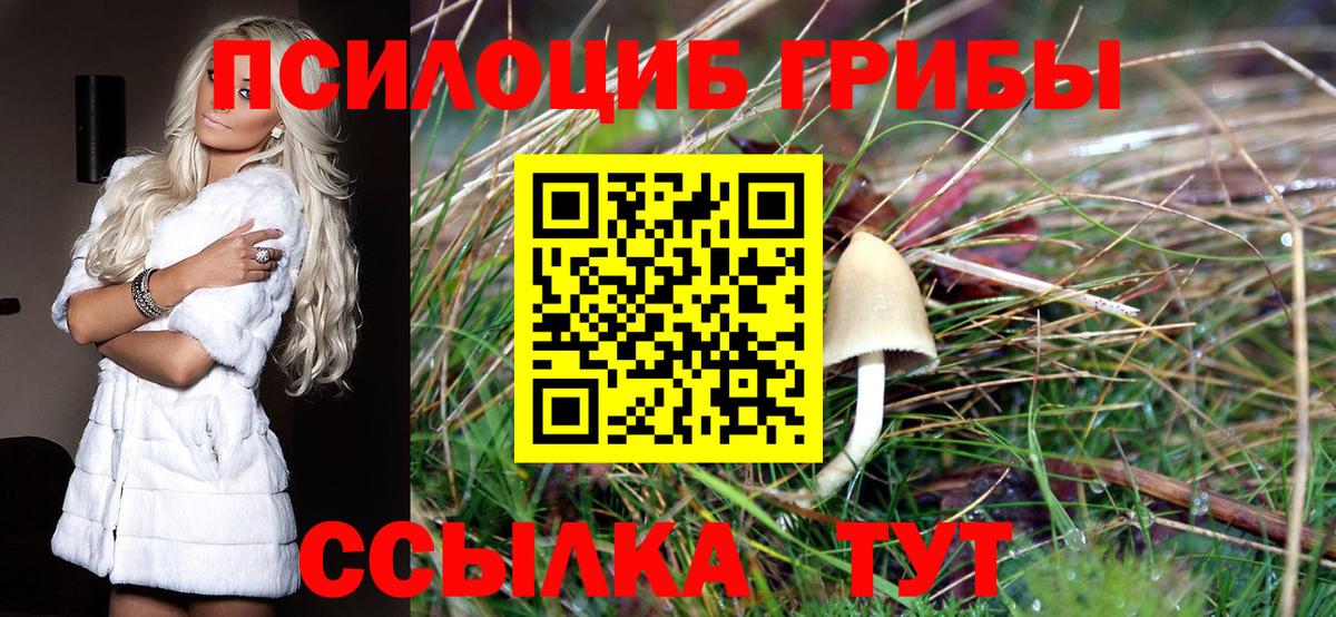 Галлюциногенные грибы мухоморы  Вход с VPN  Прокопьевск 