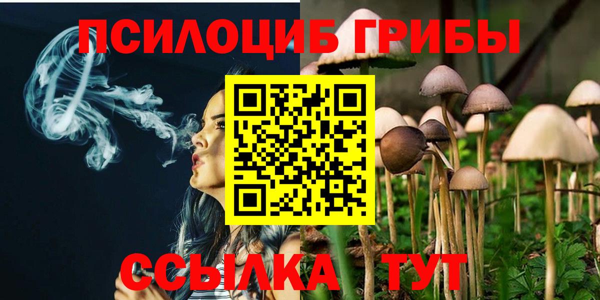 Псилоцибиновые грибы GOLDEN TEACHER Прокопьевск